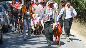 Denizli'de Taşıma Su ile Geleneksel Yarışma