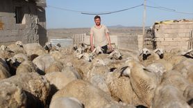 Orta Anadolu'nun 'Sarı Oğlan'ı İbrahim Yıldız: Türküleri Yaşatıyor