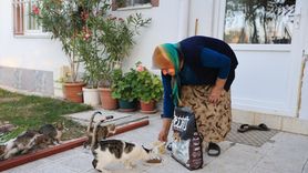 Kayseri'de Yaşlı Kadının Kedi Mama Talebi Yerine Getirildi