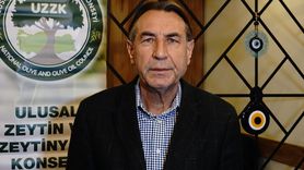 Zeytin Üreticileri Yağmur Umut Ediyor