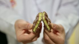 Bolu'da 1500 Çeşit Çikolata, 61 Ülkeye İhraç Ediliyor