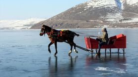 Çıldır Gölü'nde Atlı Kızak Antrenmanları