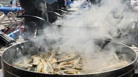 Muğla'da 7. Hamsi Şöleni Coşkuyla Gerçekleşti