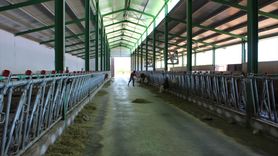 Nevşehir'e 1 Milyar Lira Destek: TKDK'nın Kırsal Kalkınmadaki Rolü