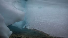 Türk Bilim İnsanları Antarktika'da Su Ekosistemlerini Araştırıyor