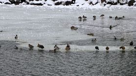 Uzungöl'de Buzlu Göl Manzarası