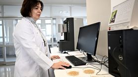 Yerel Buğdaylar: Sağlık İçin Alternatif ve Ticari Potansiyel