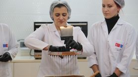 Ordulu Kadınların Butik Çikolata Üretimi E-Ticaretle Yaygınlaşacak