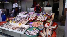 Trabzon'da Balık Fiyatları Düşüşte