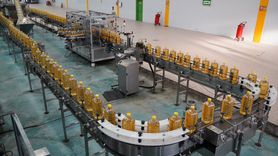 Türkiye Dünyanın Ayçiçeği Yağı İhtiyacını Karşılıyor