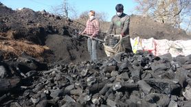 Ayvacık'tan Dünya'ya Mangal Kömürü İhracı