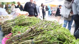 Bodrum'da 6. Acı Ot Festivali Coşkusu