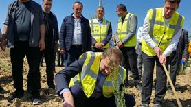Çanakkale'de 100 Bin Fidanla Enerji Ormanı Oluşturuluyor