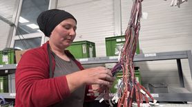 Eve Dönüş Projesi ile Zonguldak'ta İstihdam Artışı