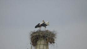 Hitit Leyleği Geleneği Devam Ediyor