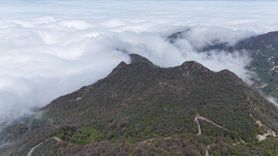 Ordu'da Büyüleyici Sis Manzarası