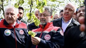 Zirai Don Olayı Üzerine Tarım ve Orman Bakanı'nın Açıklamaları