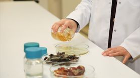 BTÜ'den Çevre Dostu Ambalaj Filmleri Geliştirme Projesi