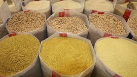 Türk Gıda Ürünlerine Artan Talep: İhracat Rakamları Açıklandı