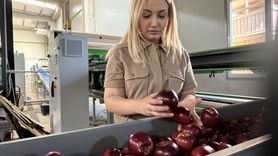 Yeni Nesil Çiftçiler: Elmalar Kurutularak Değer Kazanıyor