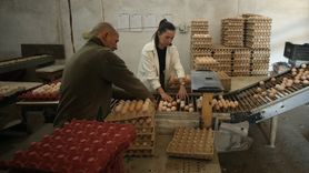 Yeni Nesil Çiftçiler: Yapay Zeka ile Tarımda Dönüşüm