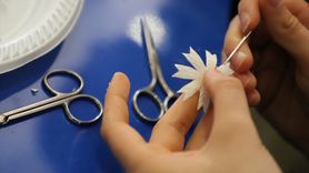 Yunus Emre Enstitüsü'nden Kosovalı Kadınlara İpek Koza Sanatı Kursu