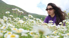 Bayburt'ta Sırakayalar Şelalesi: Doğanın Güzelliği