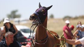 Kırklareli'nde Yağlı Güreşler ve At Yarışları Buluştu
