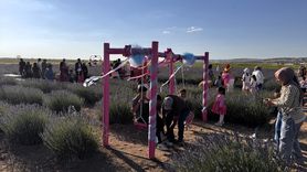 Aksaray'da Lavanta Bahçesi Sezonu Açıldı