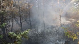 Amasya'da Orman Yangını Kontrol Altına Alındı