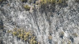 Antalya'daki Orman Yangını Kontrol Altına Alındı