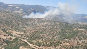 Aydın'da Yangın Kontrol Altına Alındı