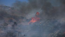 Aydın'da Zeytinlikteki Yangın Kontrol Altına Alındı