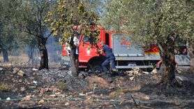 Ayvalık'ta Zeytinlik Yangını Kontrol Altına Alındı