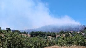 Balıkesir'de Orman Yangını Kontrol Altına Alındı