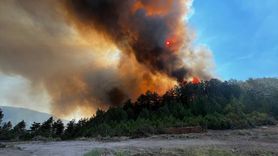 Balıkesir'de Orman Yangını Kontrol Altına Alınıyor