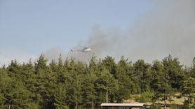 Balıkesir'de Orman Yangını Kontrol Altına Alınmaya Çalışılıyor