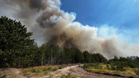 Balıkesir'deki Orman Yangınına Hızla Müdahale Ediliyor
