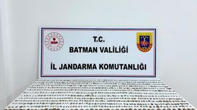 Batman'da Tarihi Eser Kaçakçılığı Operasyonu: 2 Gözaltı