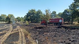 Beyşehir'de Arpa Alanında Yangın