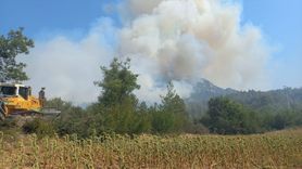 Bilecik'teki Orman Yangını Kontrol Altına Alındı
