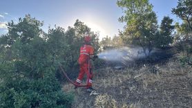 Bingöl'deki Orman Yangını Kontrol Altına Alındı