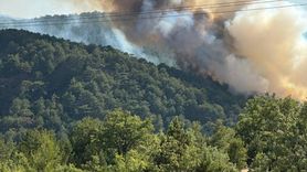 Göynük'teki Orman Yangını Kontrol Altında