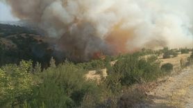 Bursa-Balıkesir Sınırında Orman Yangınına Müdahale