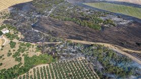 Bursa'da Yangın Kontrol Altına Alındı