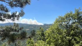 Bursa'daki Orman Yangınları Kontrol Altına Alınıyor