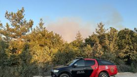 Bursa'nın Nilüfer İlçesinde Orman Yangınına Müdahale