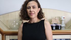 Bursalı Yaban Mersini Üreticileri İhracata Yöneliyor