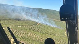 Çanakkale'de Orman Yangınına Hızlı Müdahale