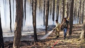 Çankırı'nın Ilgaz İlçesindeki Orman Yangını Kontrol Altına Alındı